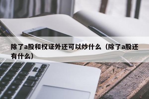 除了a股和权证外还可以炒什么（除了a股还有什么）
