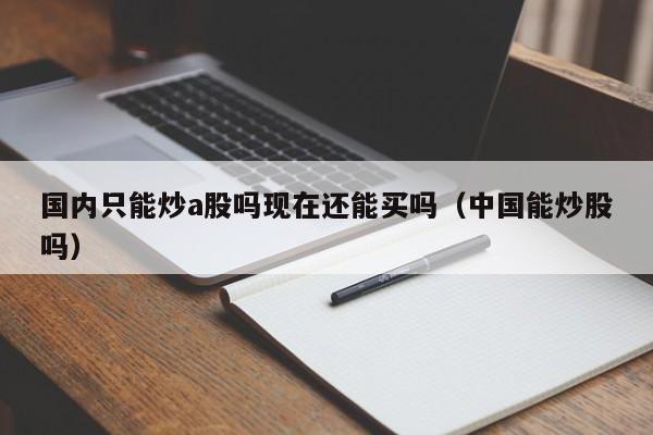 国内只能炒a股吗现在还能买吗（中国能炒股吗）