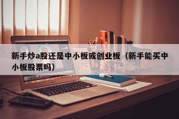 新手炒a股还是中小板或创业板（新手能买中小板股票吗）