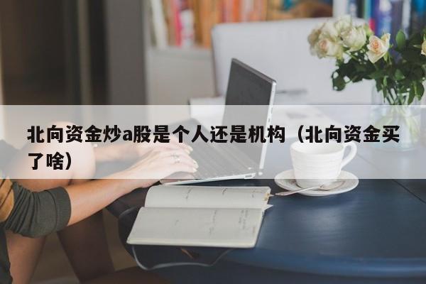 北向资金炒a股是个人还是机构（北向资金买了啥）