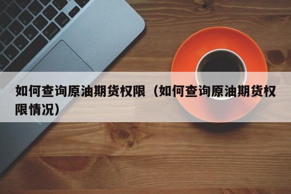 如何查询原油期货权限（如何查询原油期货权限情况）