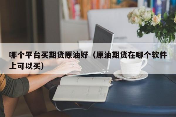 哪个平台买期货原油好（原油期货在哪个软件上可以买）