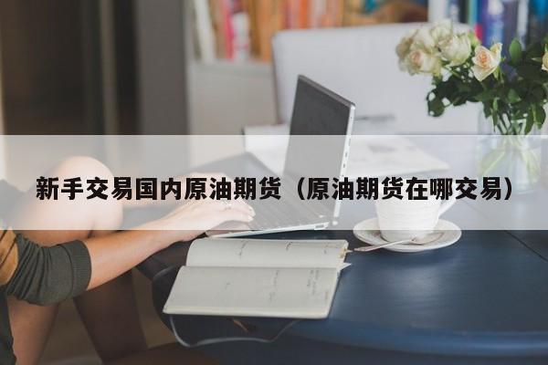新手交易国内原油期货（原油期货在哪交易）